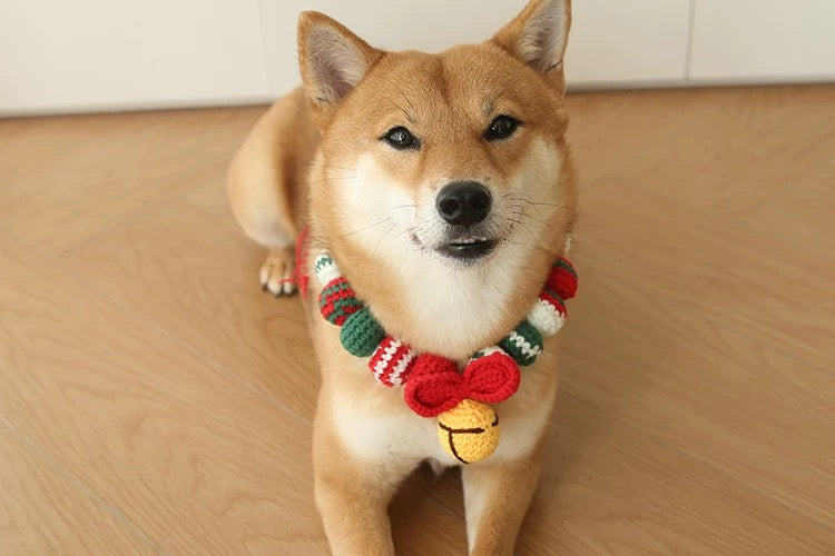 Crochet Christmas Pet Collar with Bell and Bow